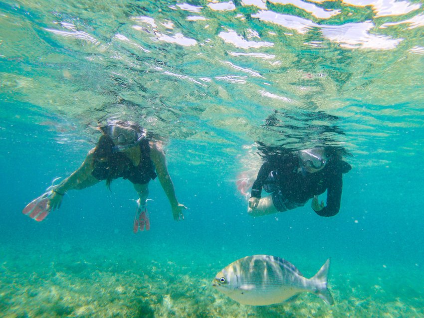 🏝️ 코마카 섬(코마카지마) 이미지 8